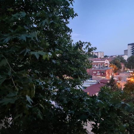 סקופיה Center Cosy Apartment מראה חיצוני תמונה
