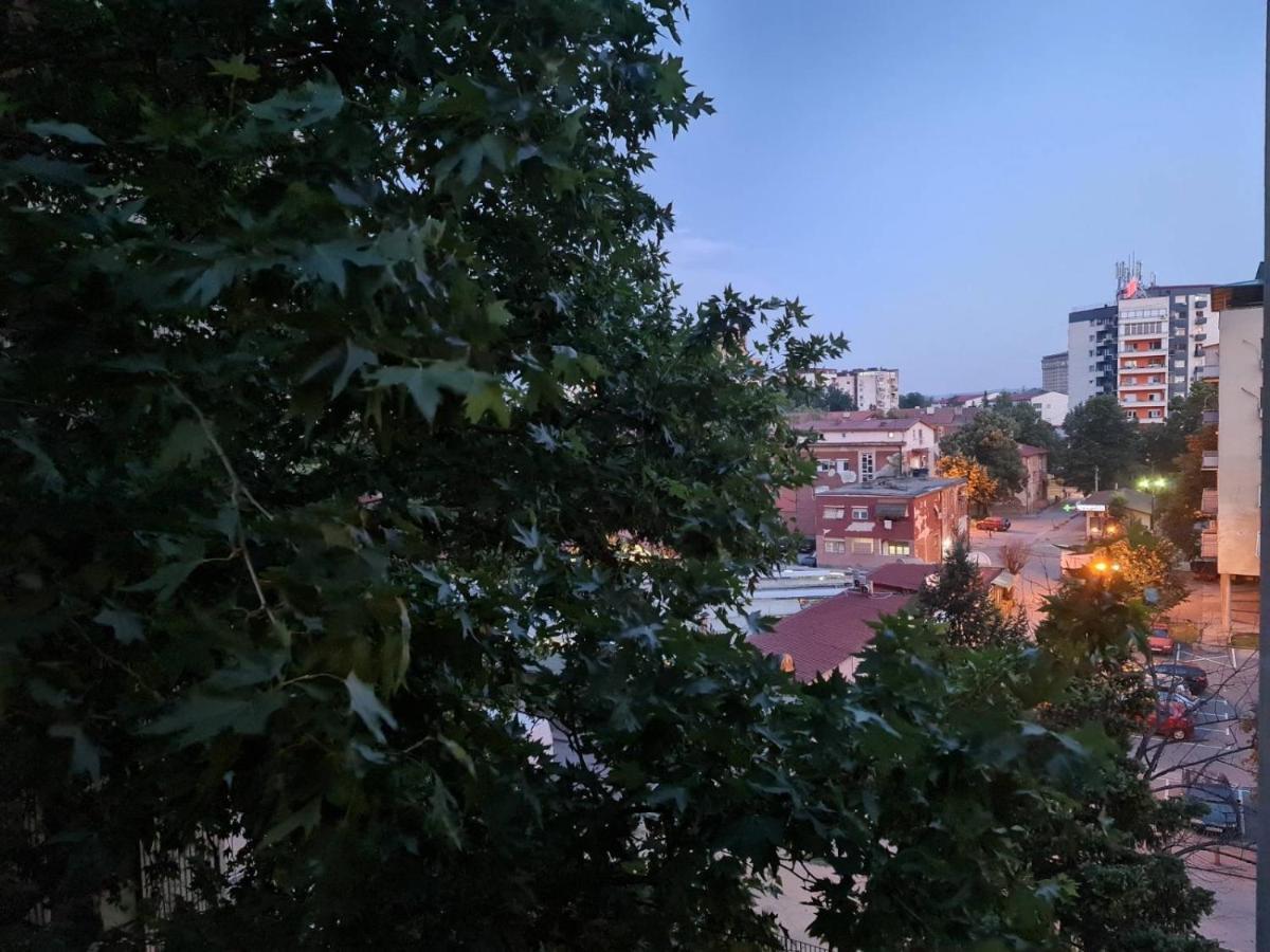 סקופיה Center Cosy Apartment מראה חיצוני תמונה